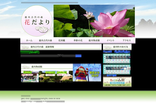 Site using Auto ThickBox Plus plugin