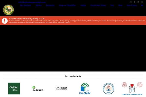 Site using Fusion-builder plugin