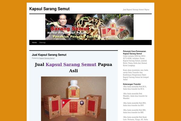 Twentytenartikeljualanheader theme site design template sample