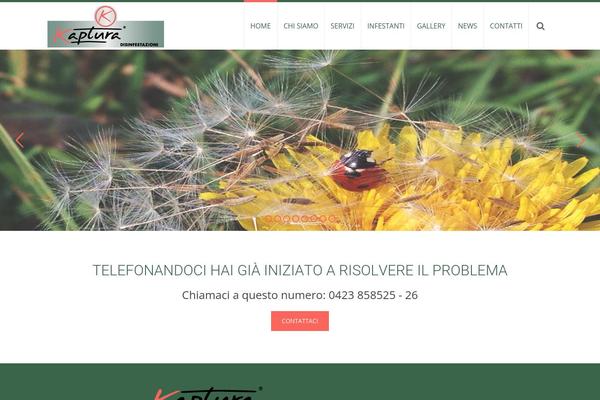 Site using Simple-social-icon-widget plugin
