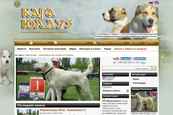 Site using Accordion Image Menu plugin
