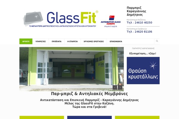 Goodnex theme site design template sample