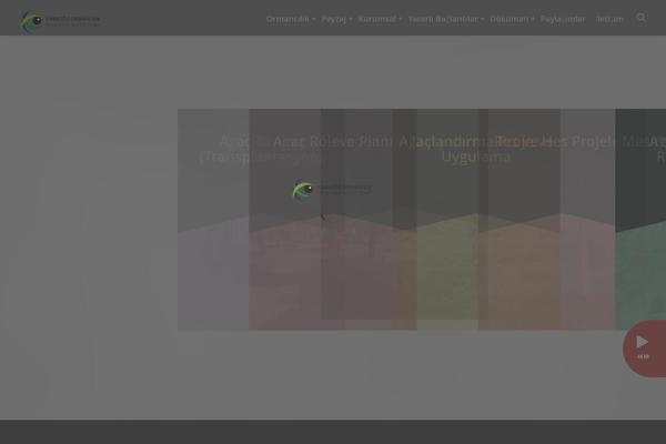 Site using Background Music Player Lite plugin