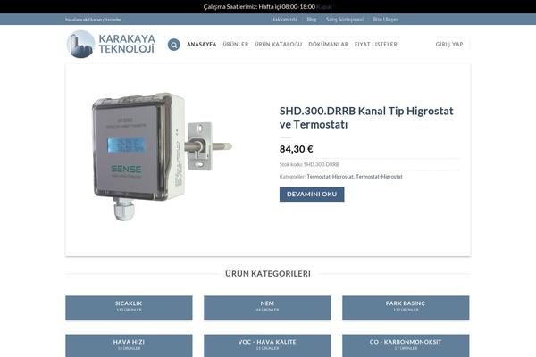Site using Leartes-try-exchange-rates plugin