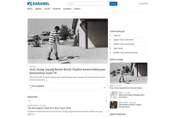 Bloggingpro theme site design template sample