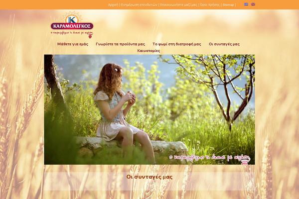 Site using wordpress responsive thumbnail slider plugin