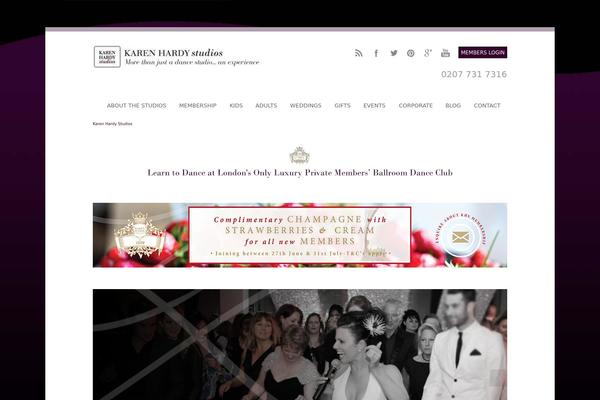 Wp-enlightened104 theme site design template sample