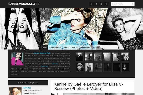 WP13_sin21 theme websites examples
