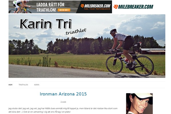 ColorPress theme site design template sample