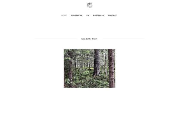 Bridge Child theme site design template sample