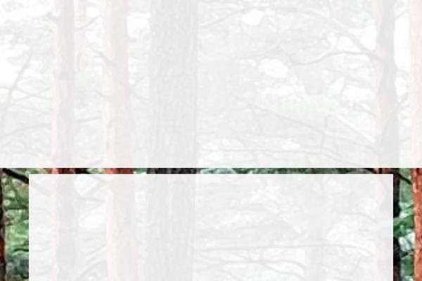 Site using E-addons-pro-form-extended plugin
