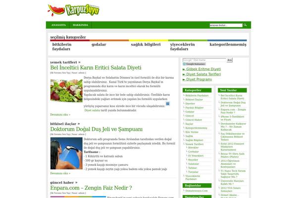 Arthemia theme site design template sample
