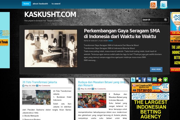 blackstone theme websites examples