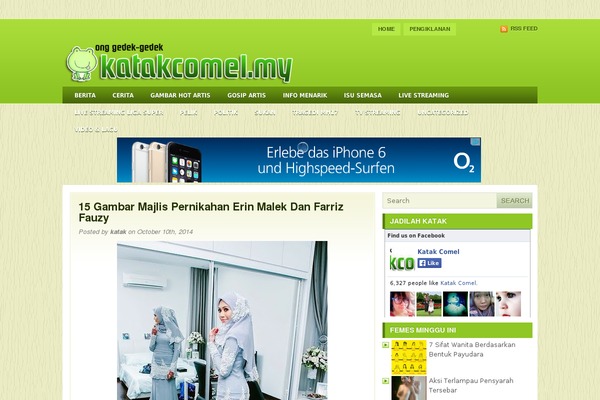 Stratie theme websites examples