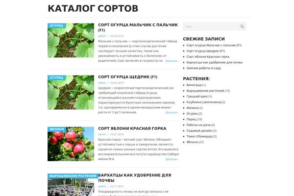 WordPress website example screenshot