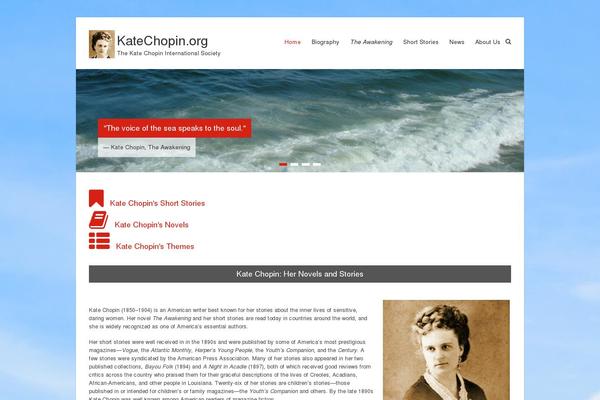 katechopin.org site used Esteem-child