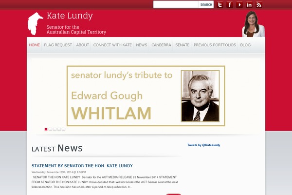Candidate theme site design template sample