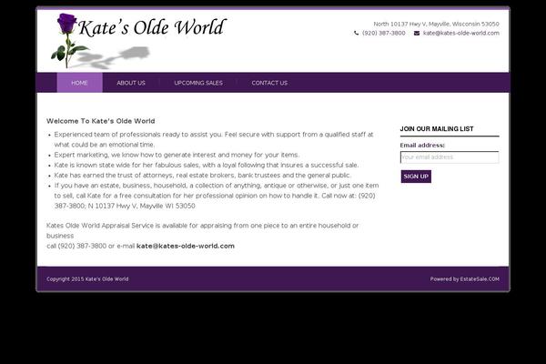Felicity theme site design template sample