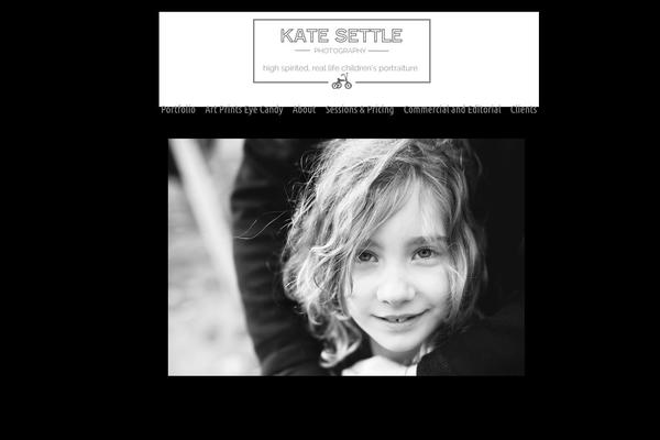 Portfolio2 theme site design template sample