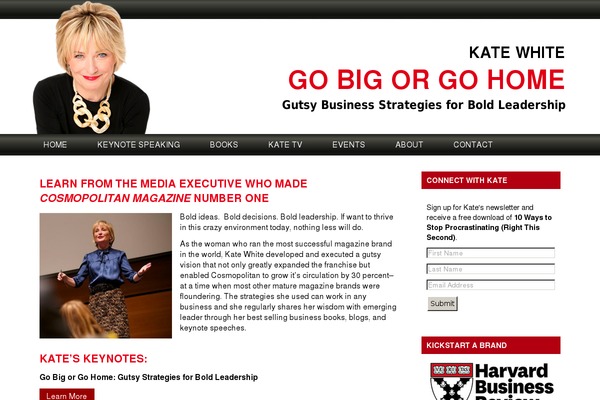 Schism theme site design template sample