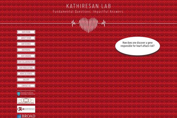 Site using Google Analyticator plugin