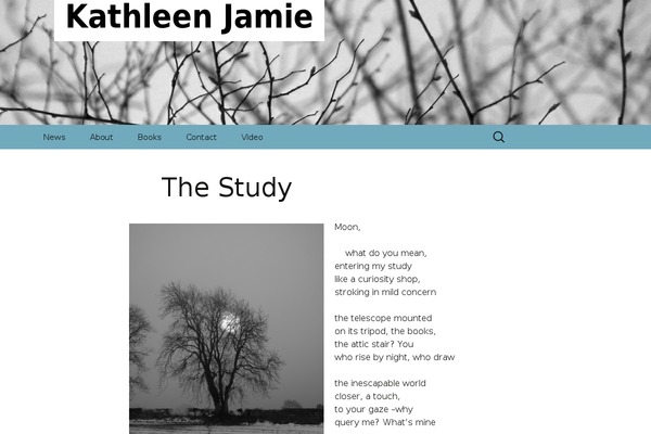 Twenty Thirteen theme site design template sample