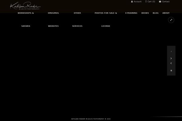 Kinetika theme site design template sample