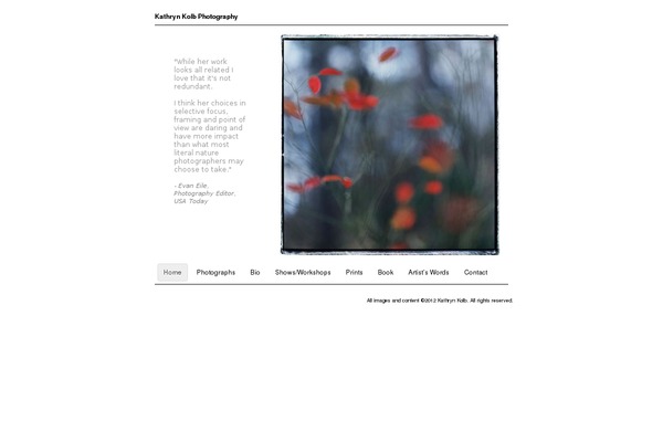kathrynkolb.com site used Nano
