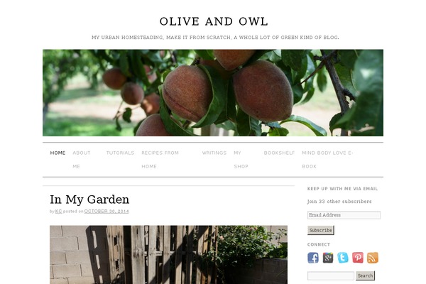 Brunelleschi theme site design template sample