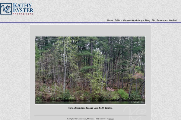 Site theme site design template sample