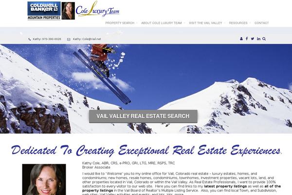 Convertible theme site design template sample