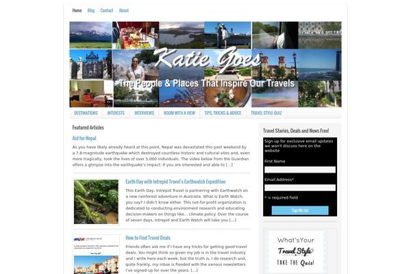 Authentic theme site design template sample