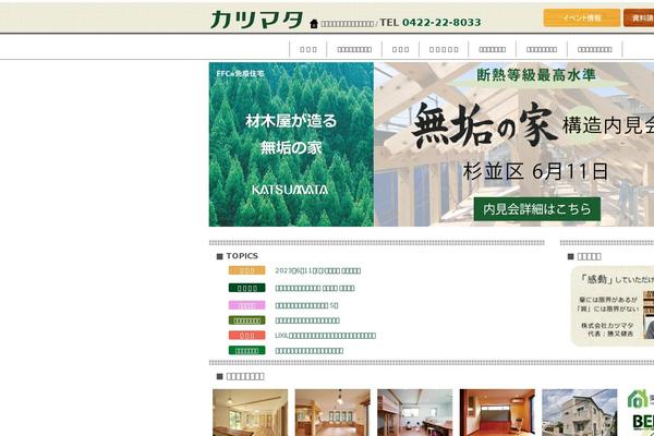 Site using Newpost Catch plugin