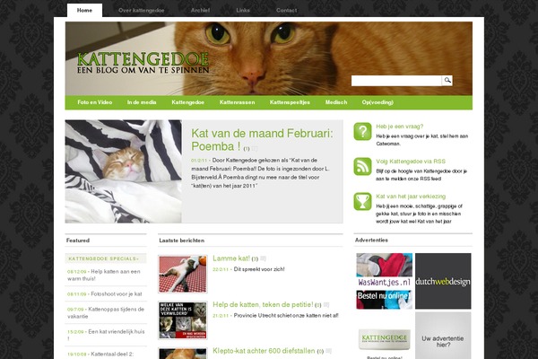 Mimbo theme site design template sample
