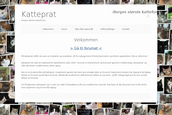 Pinboard theme site design template sample