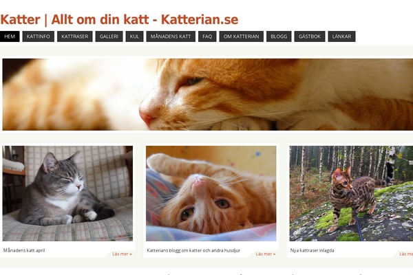 Site using Fancy-gallery-pro plugin