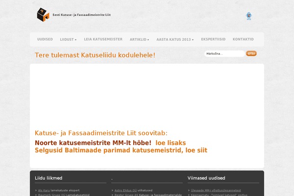Spicy theme site design template sample