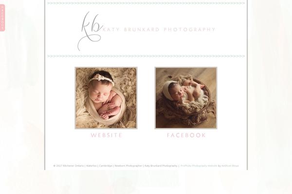Prophoto4 theme site design template sample