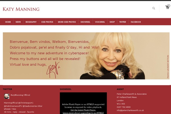 Tyrion theme site design template sample