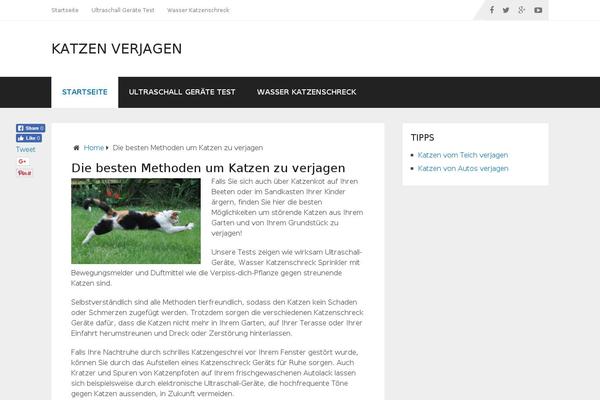Site using Wp-seopress plugin