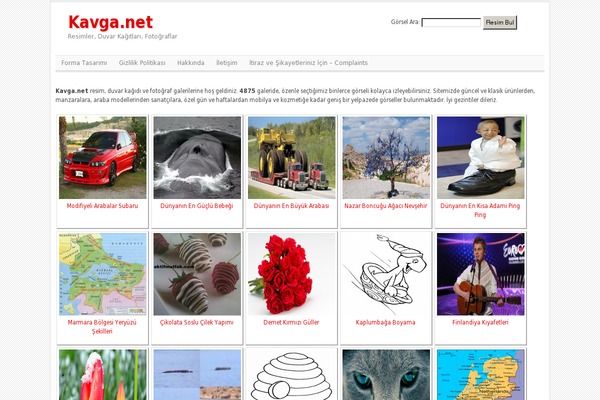 t theme websites examples