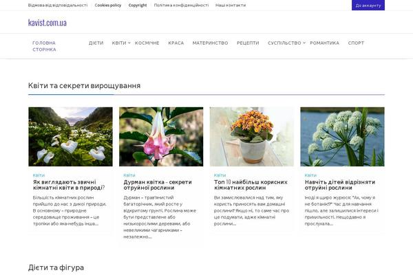 Online Shop theme site design template sample