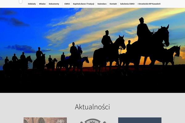 Site using Visual_composer plugin