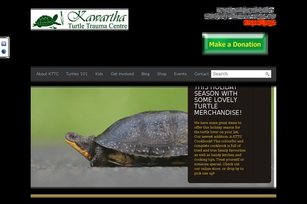 BlackBird theme site design template sample