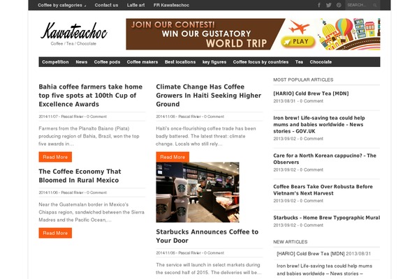 Magazon Wp theme site design template sample