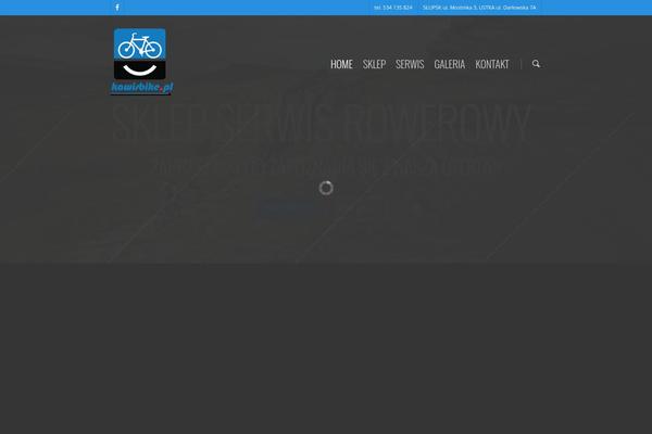 Salient theme site design template sample