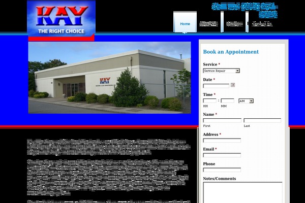 Appointment theme site design template sample