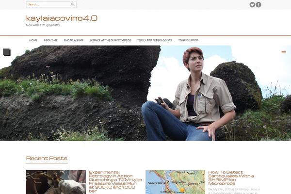 Professional theme site design template sample