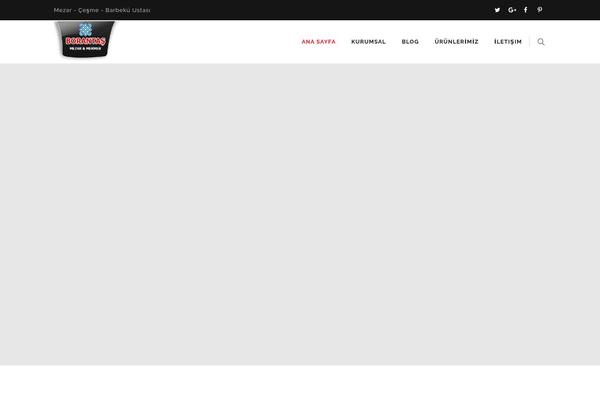 Site using Thememount-extras-fixology plugin
