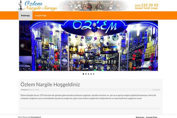 Pluto theme site design template sample